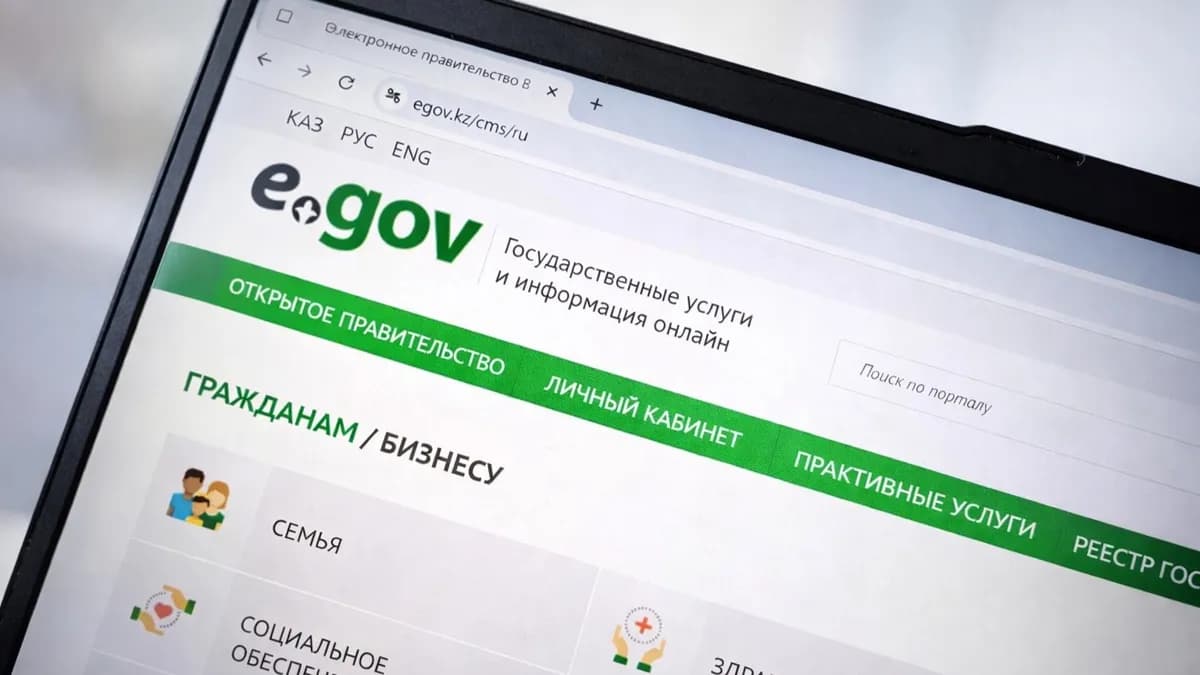 В eGov Business появилась новая онлайн-услуга для предпринимателей